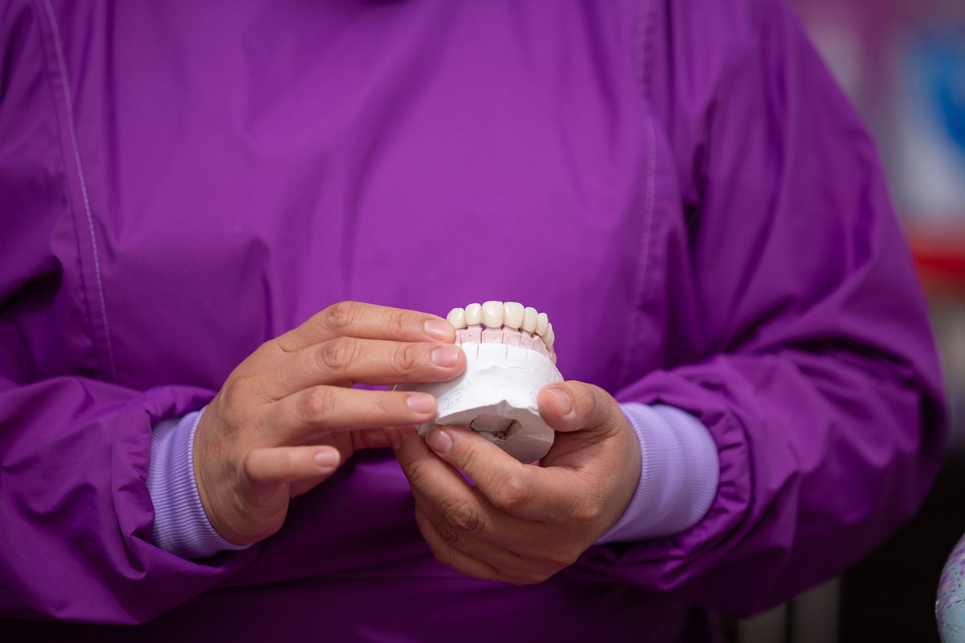Hands holding a dental model with teeth, wearing a purple coat.