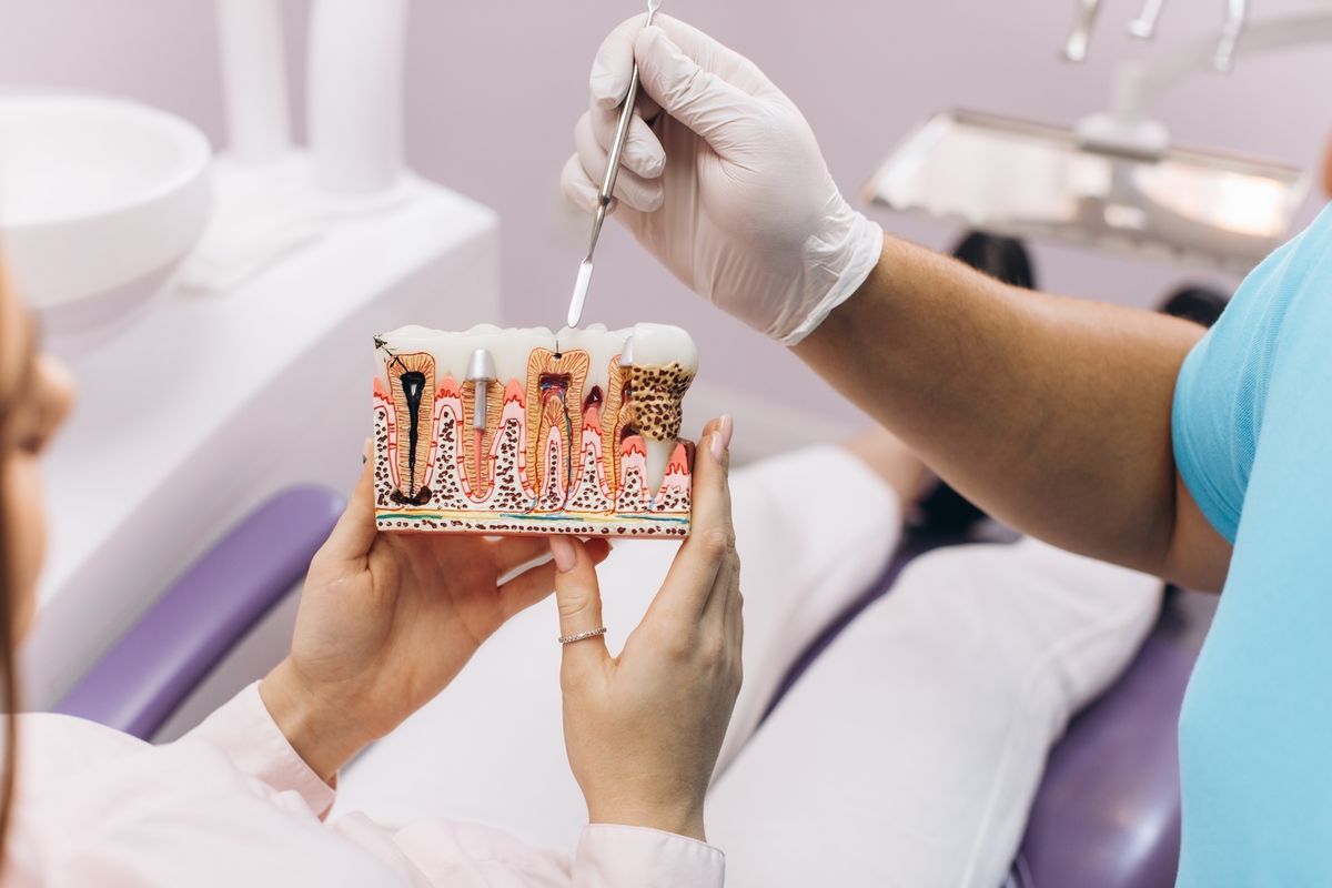 Dentist holding a tooth model while examining a patient in a dental chair