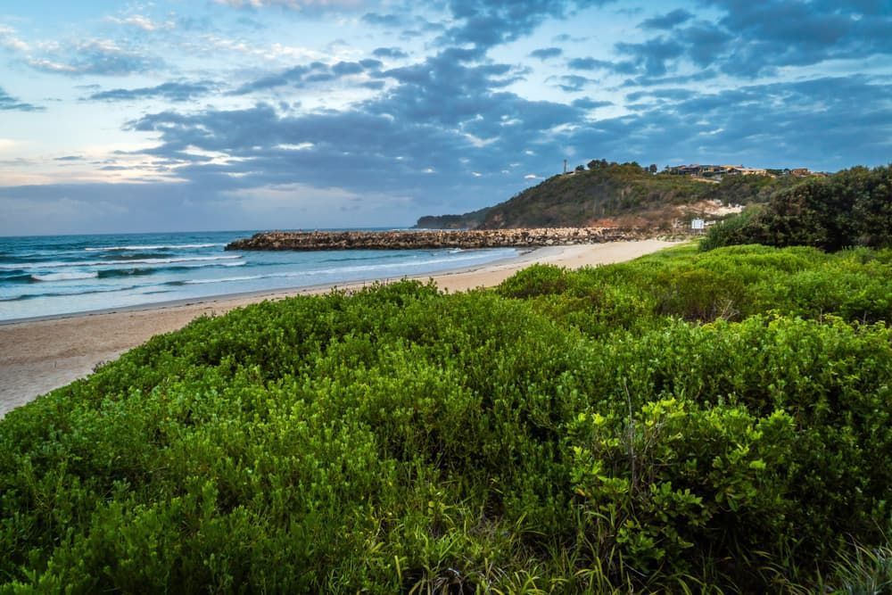 A Beach with A Lot of Green Bushes and Trees Surrounding It — Lifestyle Demolition In Evans Head, NSW