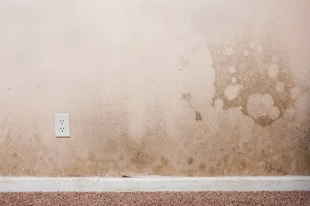 Water Stained Drywall