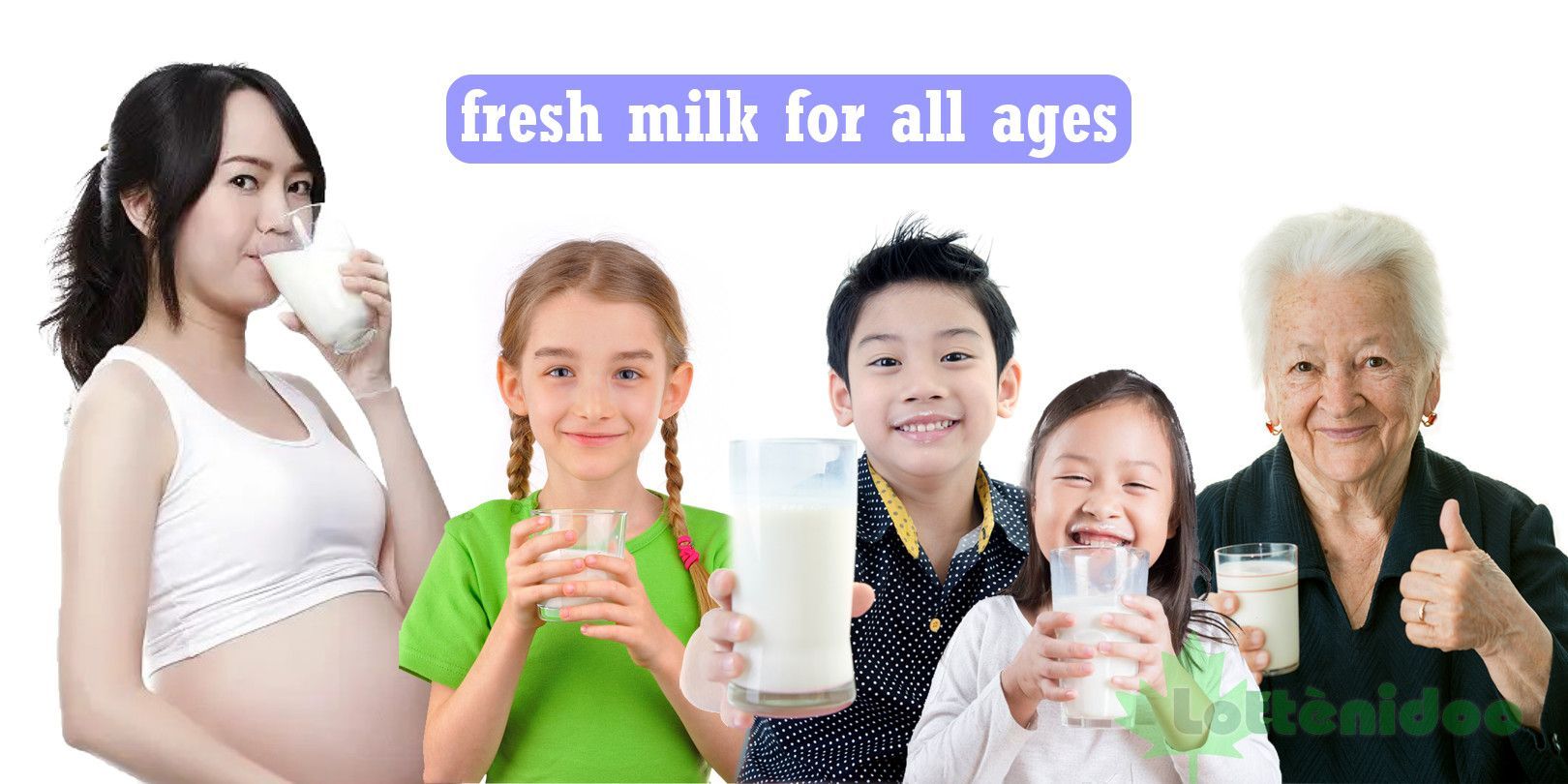 Lottenidoo milk suitable for all ages