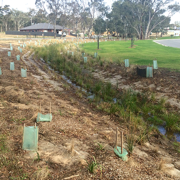 Thomson Hay Landscape Architects - Imagine Estate Strathfieldsaye