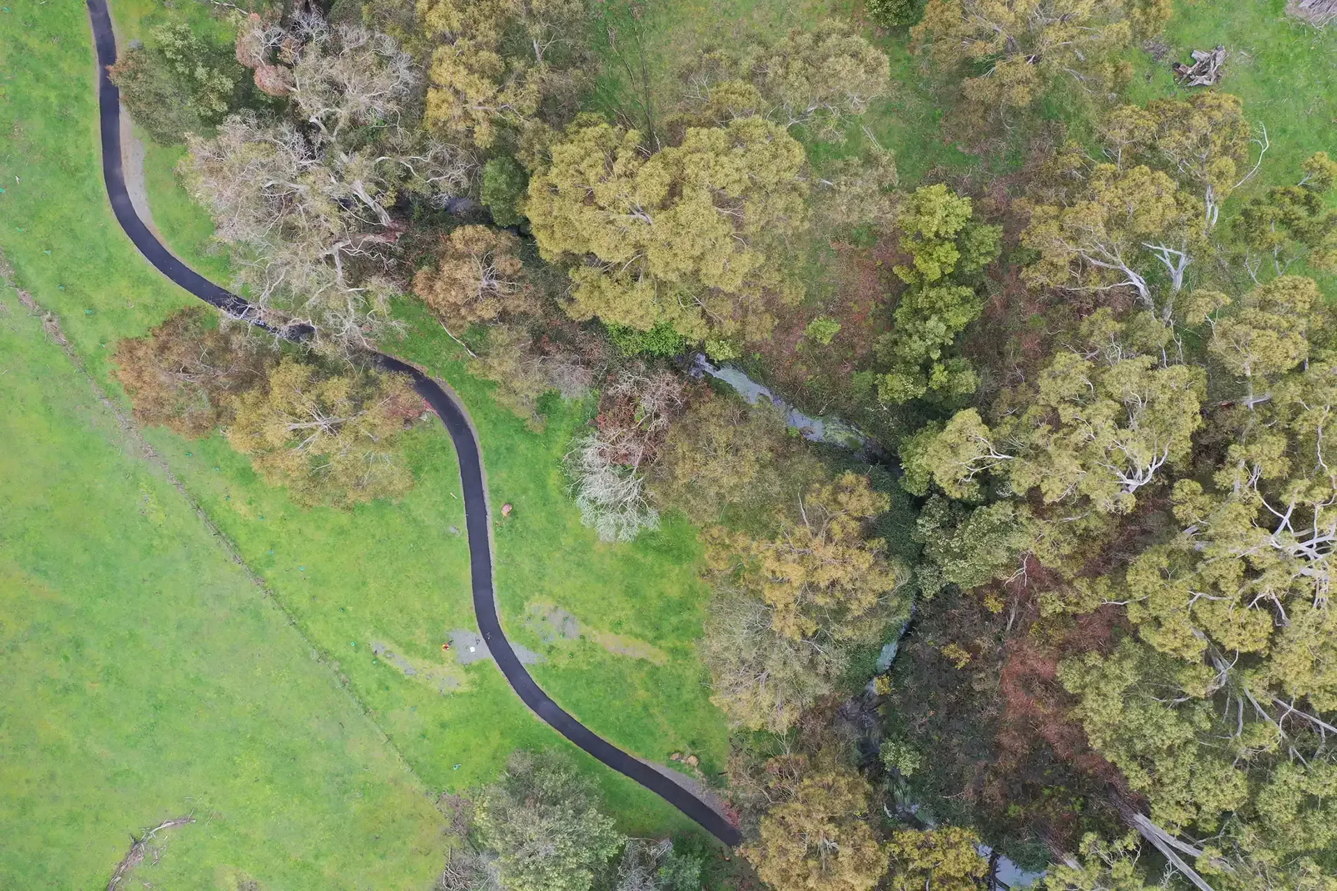 Yarrowee River Masterplan and Priority Projects