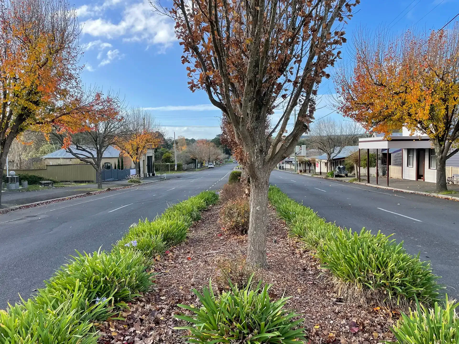 Northern Streetscapes, Smythesdale - Scarsdale - Linton