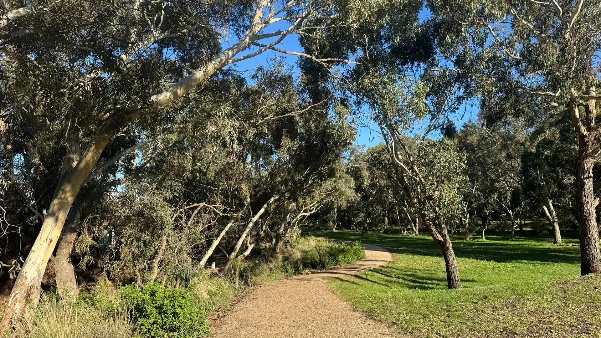 Sunnyside Mill Revegetation