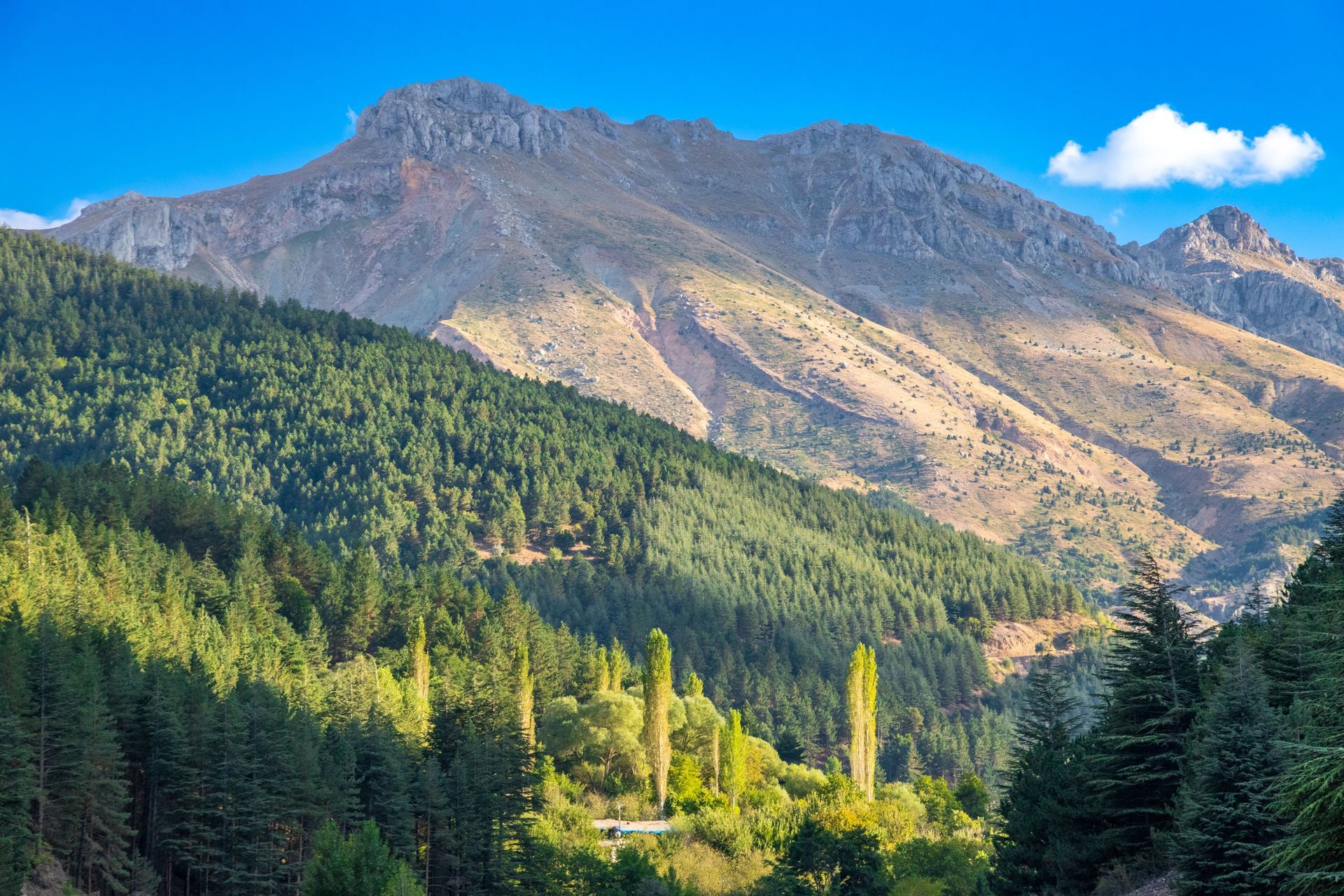Paysage de montagne avec une vallée boisée, un pic rocheux et un ciel d'un bleu éclatant