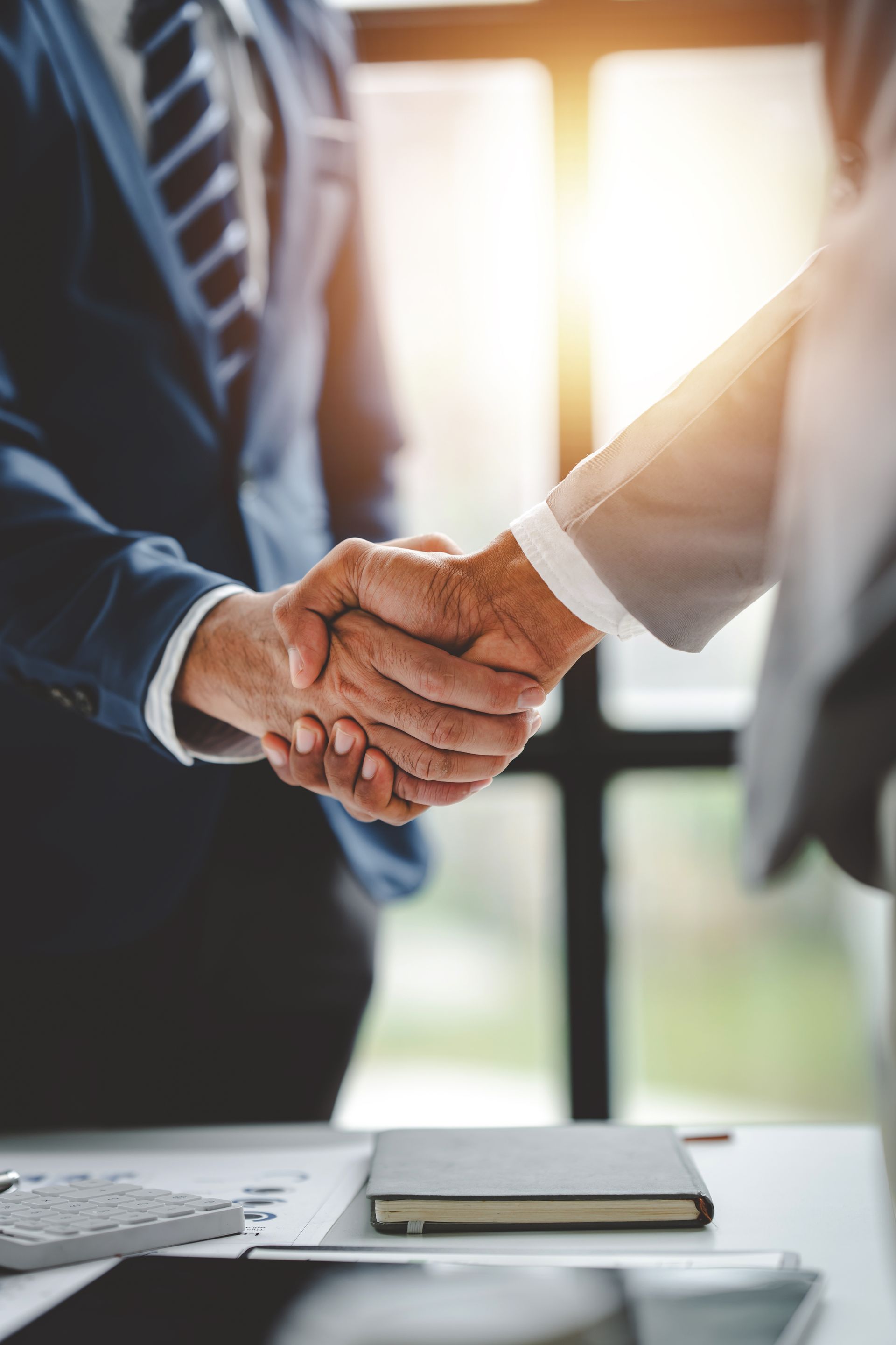 A man and a woman are shaking hands over a table.