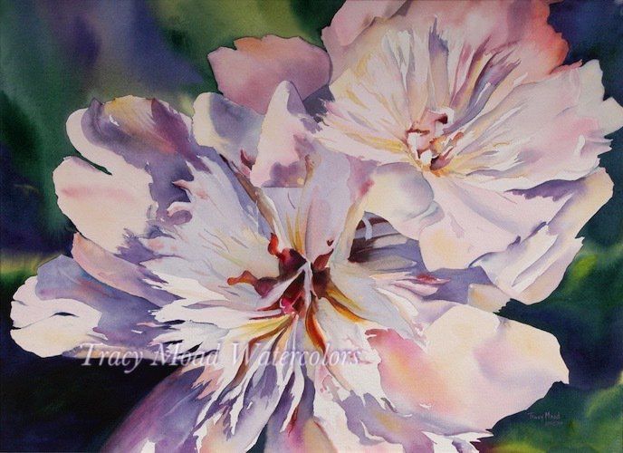 Watercolor painting of white and pink geranium flowers with dark centers and green background.
