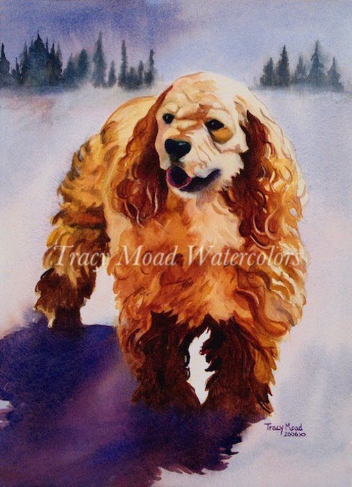 Watercolor painting of a golden Cocker Spaniel walking in snow, with a forest in the background.