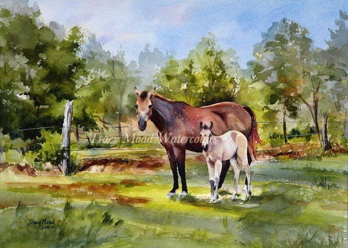 Mare and foal stand in a grassy field, near a fence and trees. Sunlight bathes the scene.