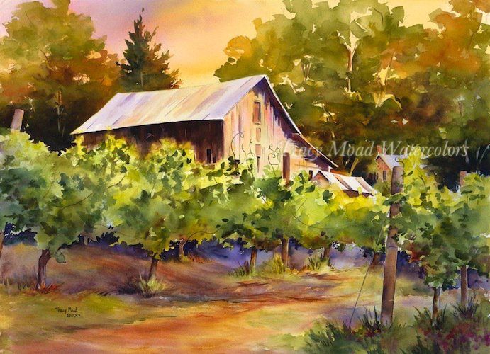 Barn in a vineyard, watercolor painting with golden sunset hues. Lush green vines in the foreground.