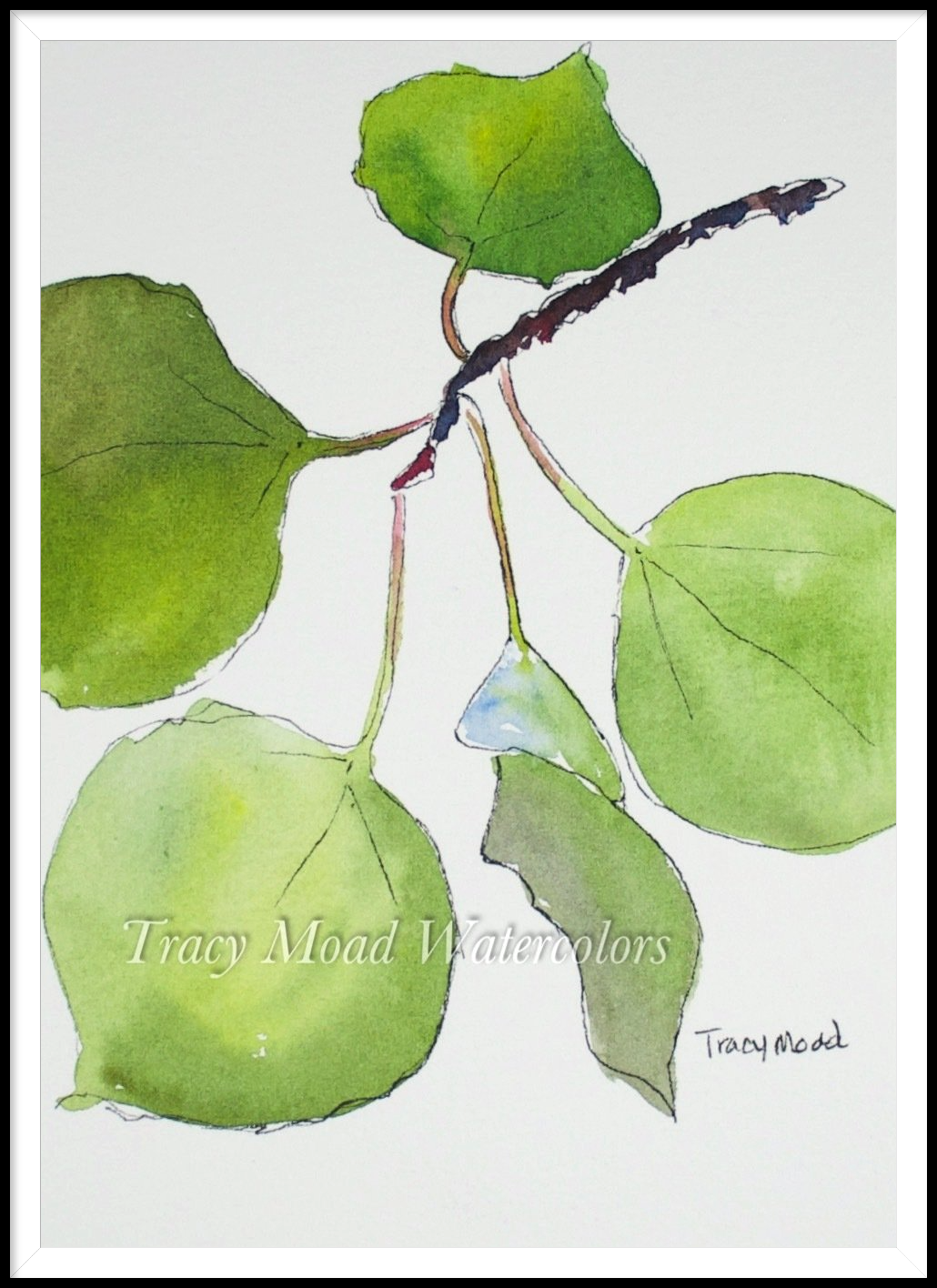 Watercolor painting of green leaves on a brown branch against a white background.
