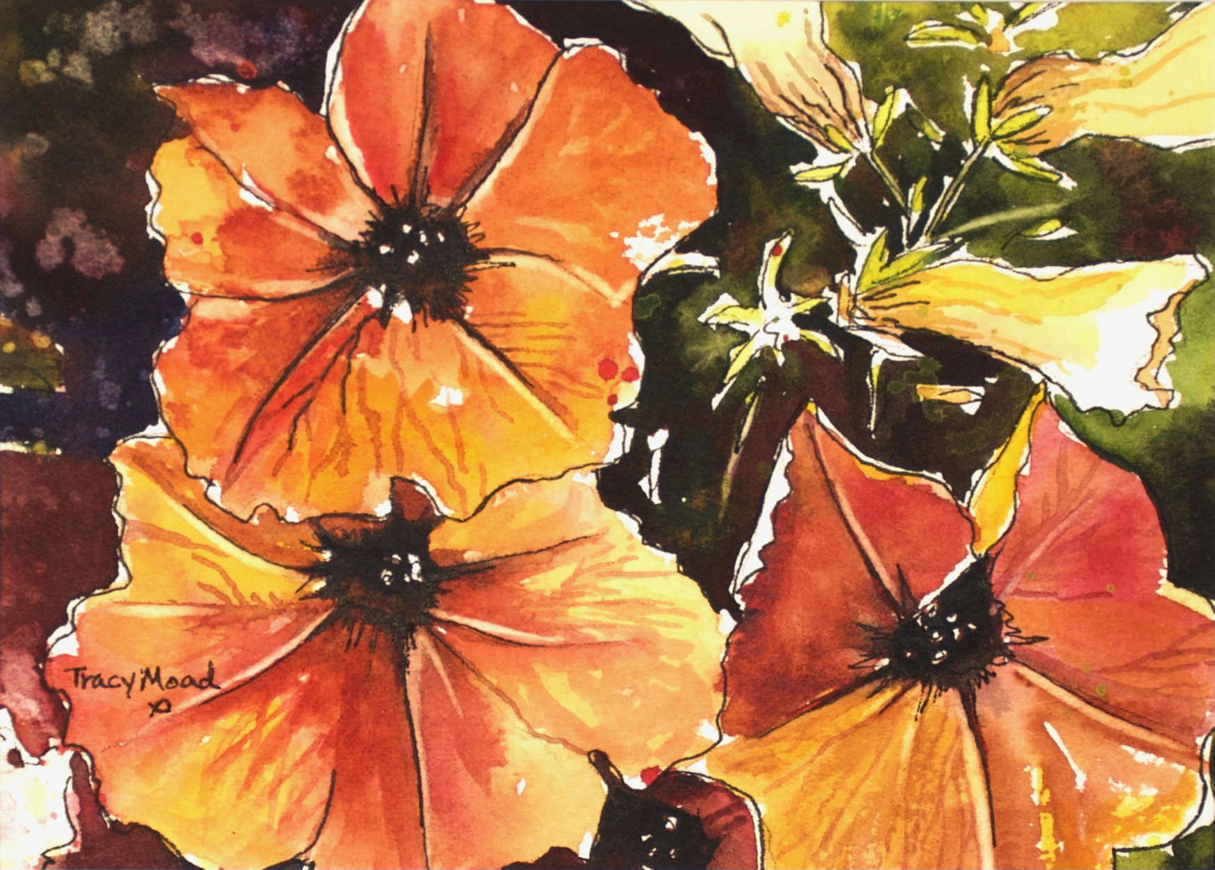 Close-up watercolor painting of orange and yellow petunia flowers with dark centers and green foliage.