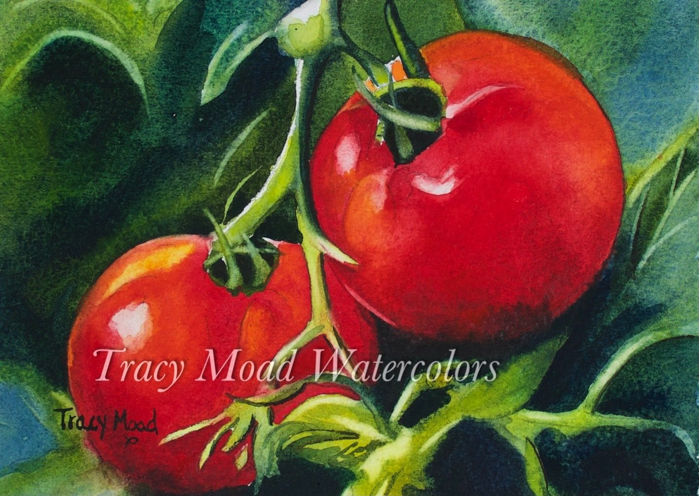 Two ripe red tomatoes with green stems and leaves, watercolor painting.