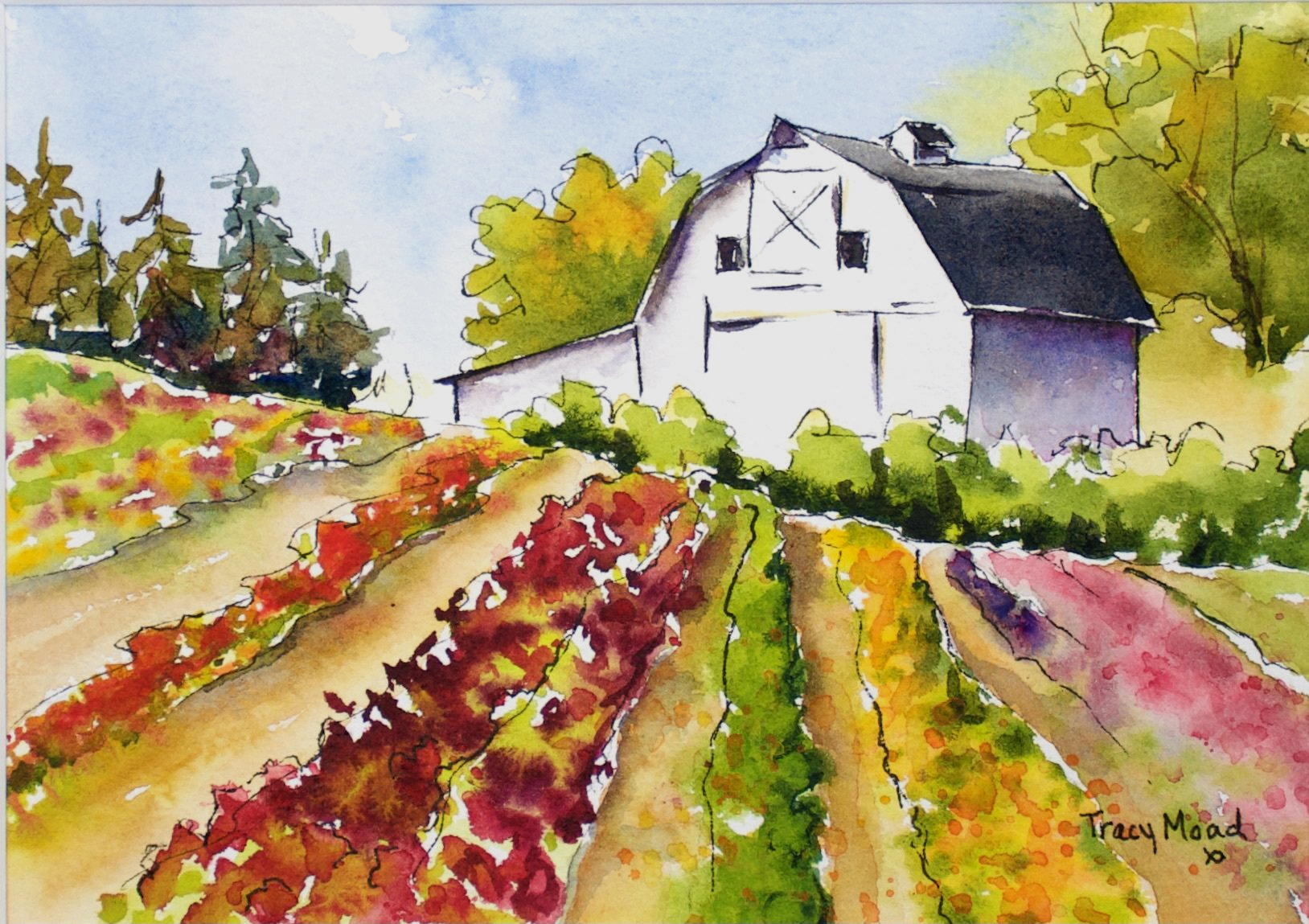 Watercolor painting of a white barn behind colorful vineyard rows. Green, yellow, red hues.
