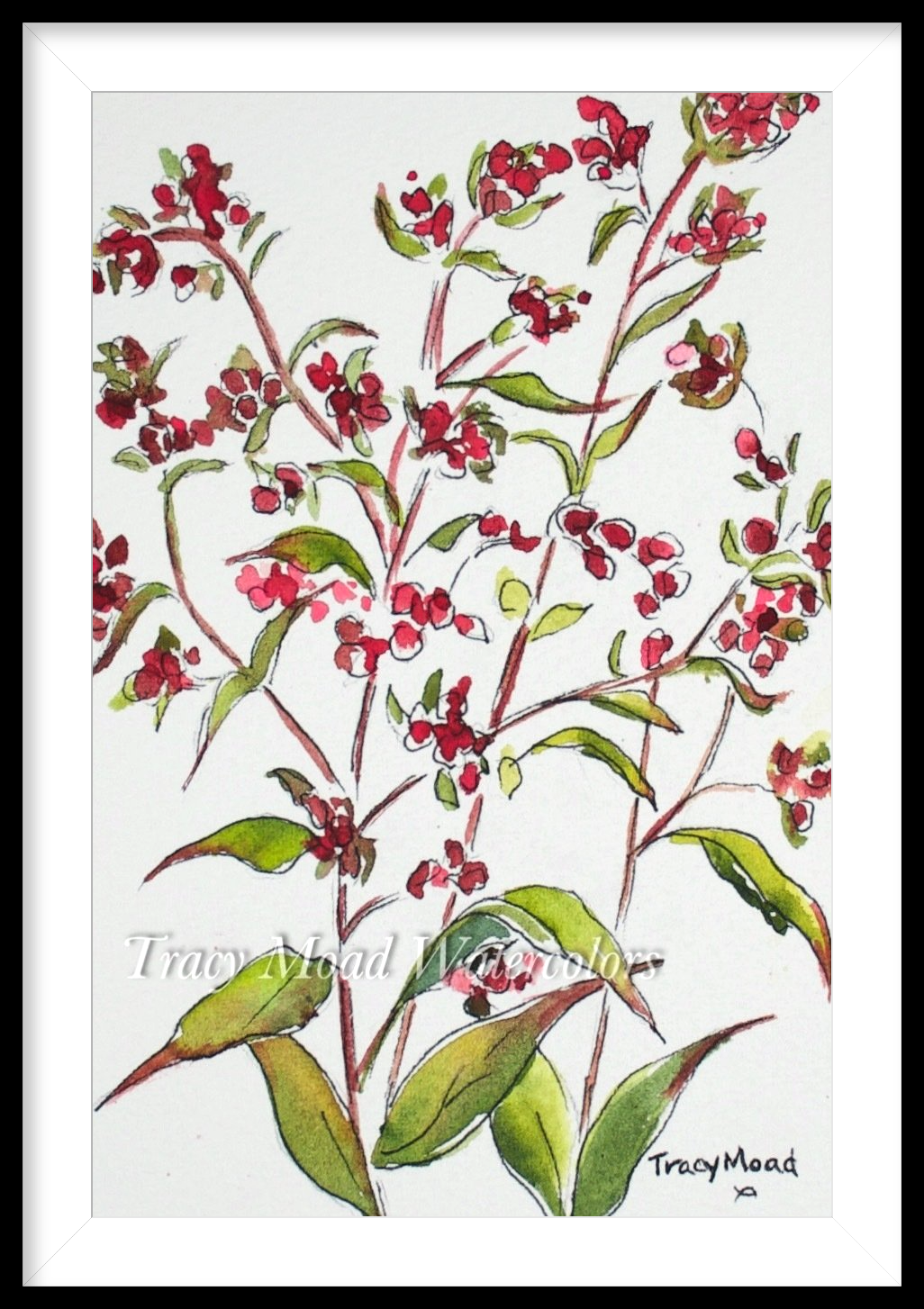 Watercolor painting of red berries and green leaves on stems against a white background.