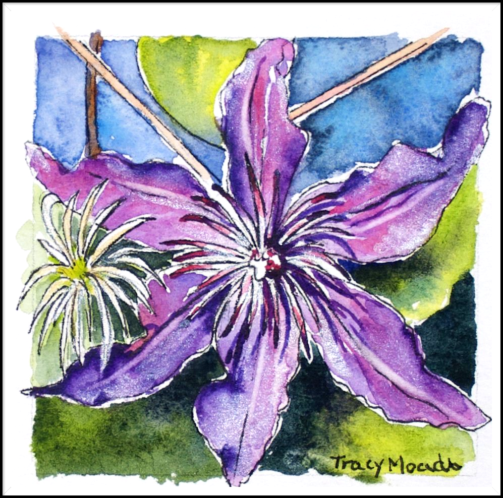 Purple clematis flower with spiky center and small white seed head, watercolor painting.