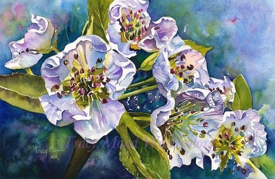 Watercolor painting of white and purple flower blossoms with green stems against a blue background.