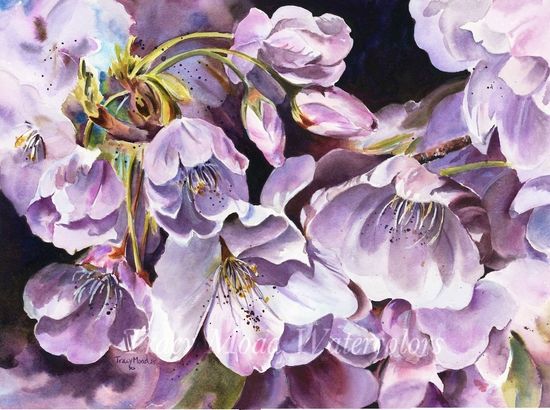 Close-up watercolor of pale purple blossoms in sunlight with dark background.