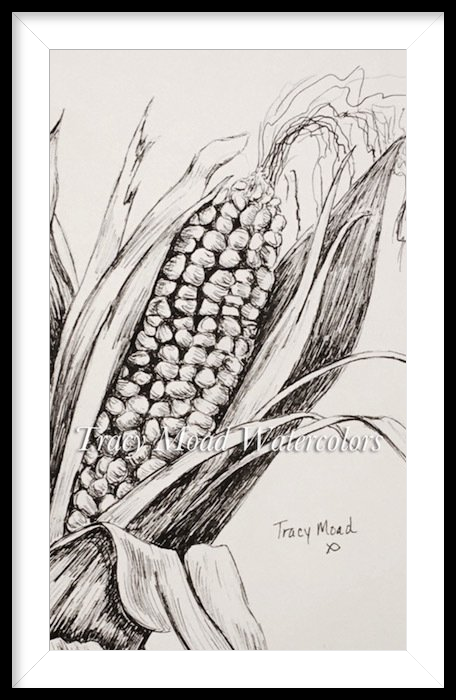 Pen and ink drawing of an ear of corn with husk and leaves in a black and white frame.