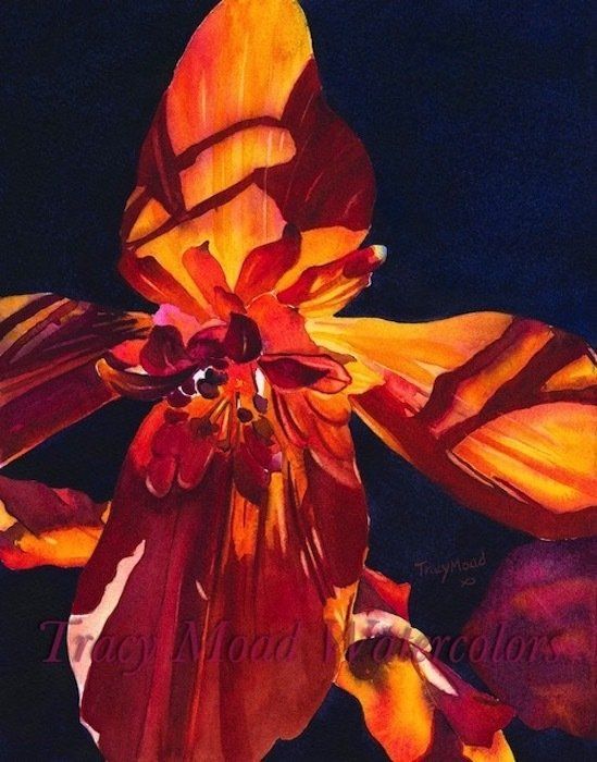 Watercolor painting of a vibrant, fiery orchid in shades of red, orange, and yellow against a dark blue background.