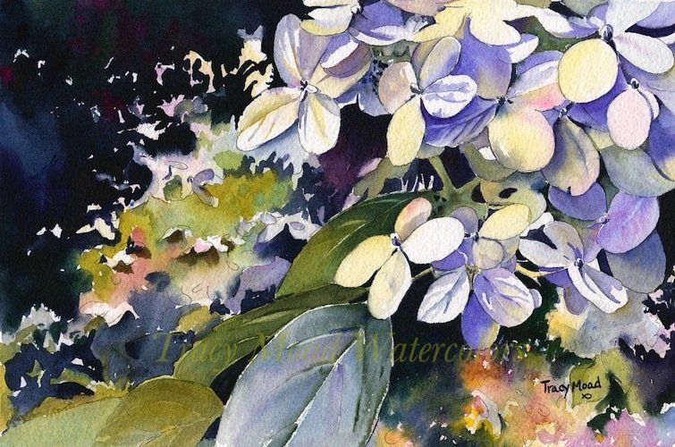 Watercolor painting of hydrangea flowers; blue, yellow, and white petals; green leaves; dark background.