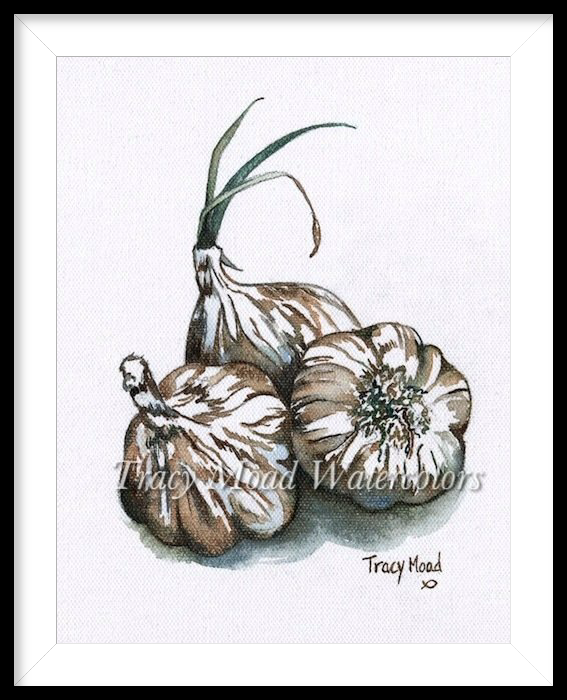 Three garlic bulbs, one with green sprouts, on white background. Watercolor art.