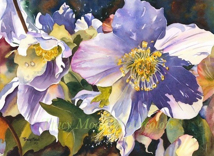 Watercolor painting of pale purple hellebore flowers with yellow centers and green leaves.