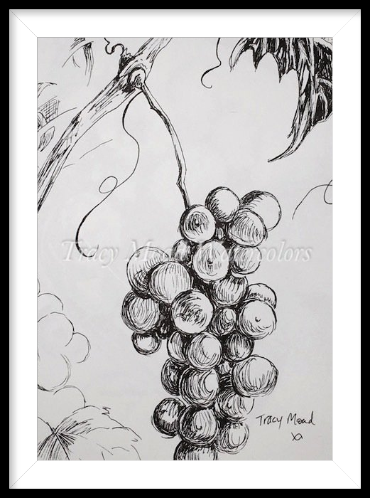 Black and white sketch of a bunch of grapes hanging from a vine, leaves in background.