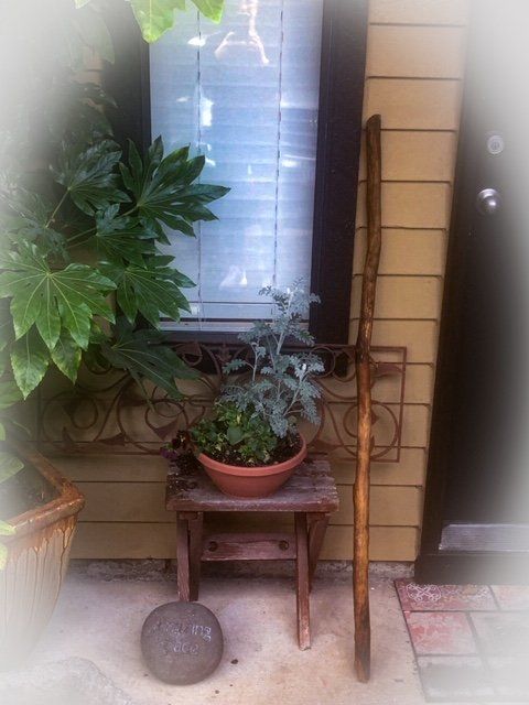 A potted plant and other items sit by a window; a wooden staff leans against the wall.