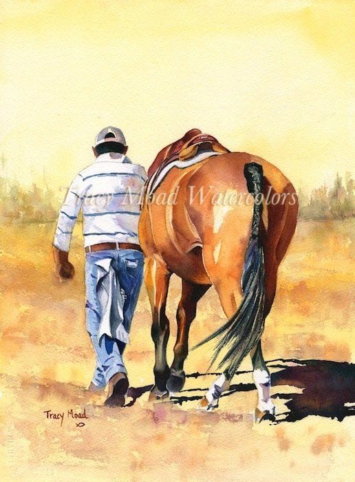 Man walking a brown horse in a field. The sun is shining.