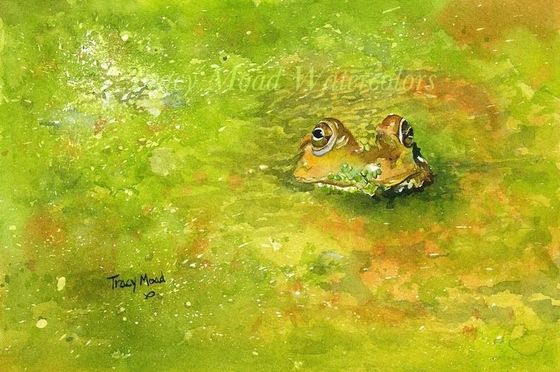 Watercolor painting of a frog in green water, eyes and head visible, in a grassy setting.