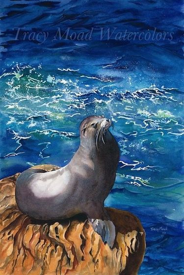 Sea lion on a rocky outcrop with blue ocean waves in background. Watercolor painting.