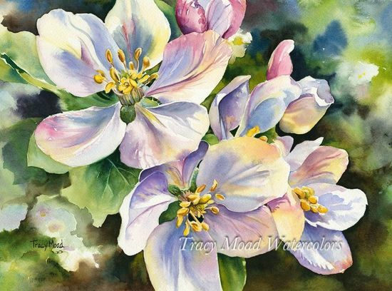 Watercolor painting of apple blossoms in shades of white, pink, and yellow.