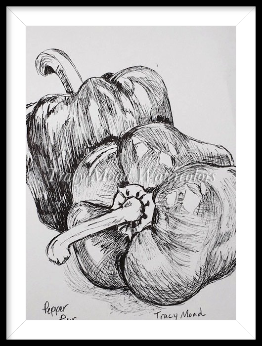 Two bell peppers in pen and ink drawing.