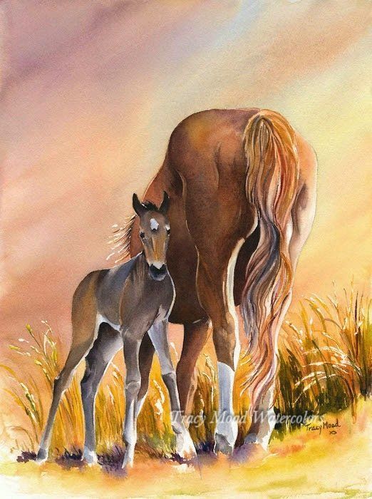 Mare and foal in a field; golden light, brown horses. The foal stands near the mare, who looks over.