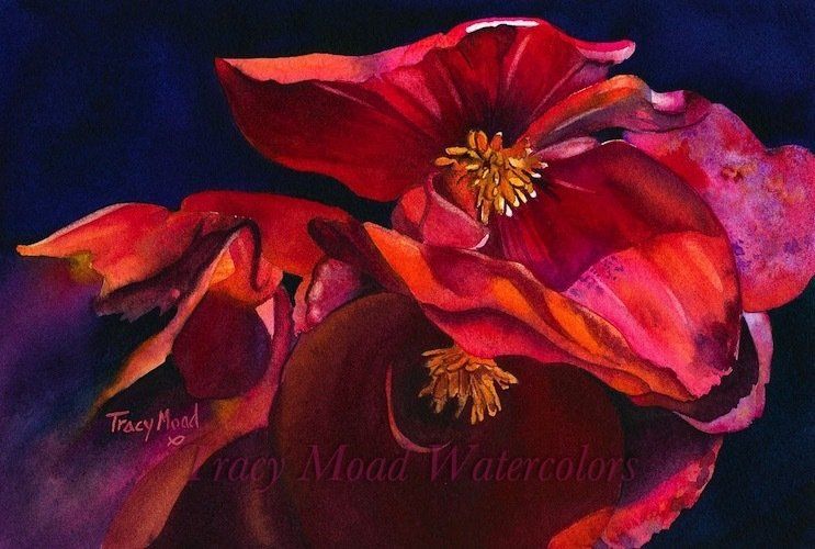 Close-up watercolor of vibrant red flowers against a dark blue background.