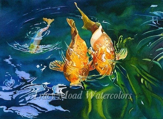 Three orange fish swimming in dark blue water, with green seaweed reflections.