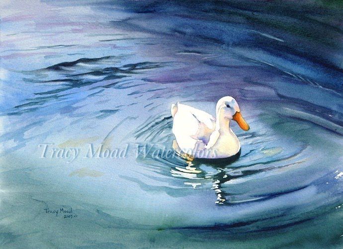 White duck swims in blue water, creating ripples.