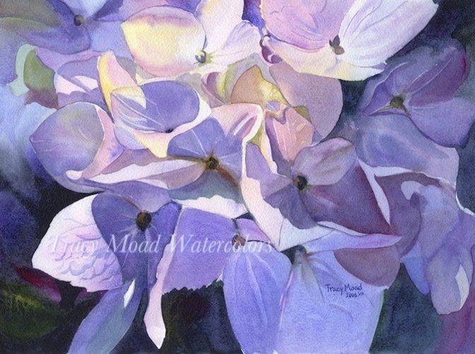 Watercolor painting of lavender and white hydrangeas in sunlight.