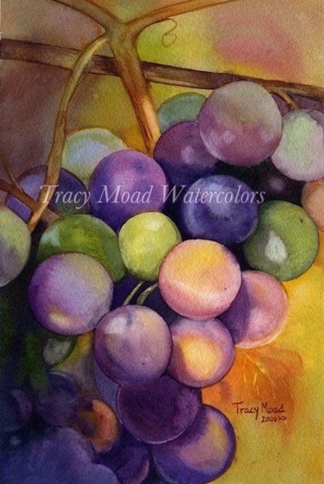 Watercolor painting of purple, green, and yellow grapes on a vine; yellow background.