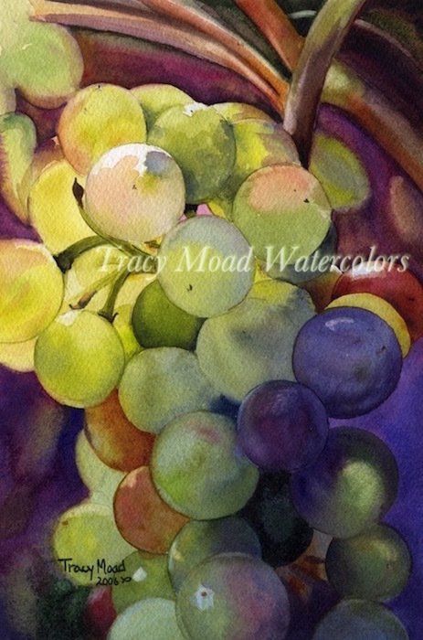 Close-up watercolor of a bunch of grapes, ranging from green to purple, with a purple background.