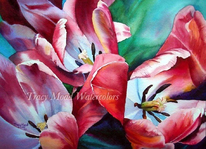 Close-up watercolor painting of vibrant pink and white tulips, against a teal and green background.