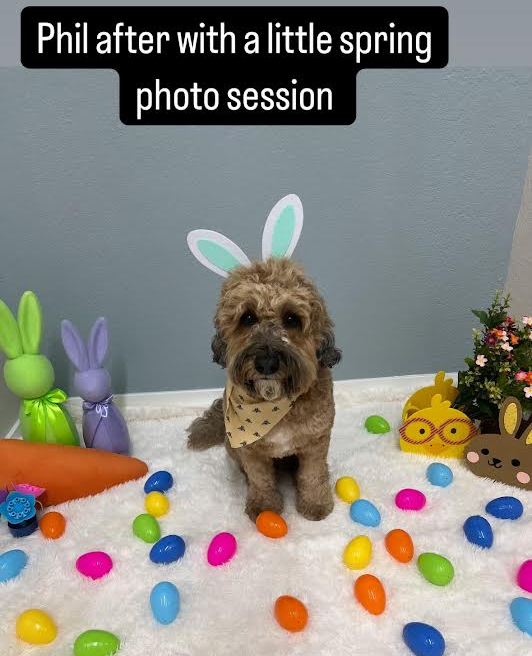 A dog wearing bunny ears is surrounded by easter eggs