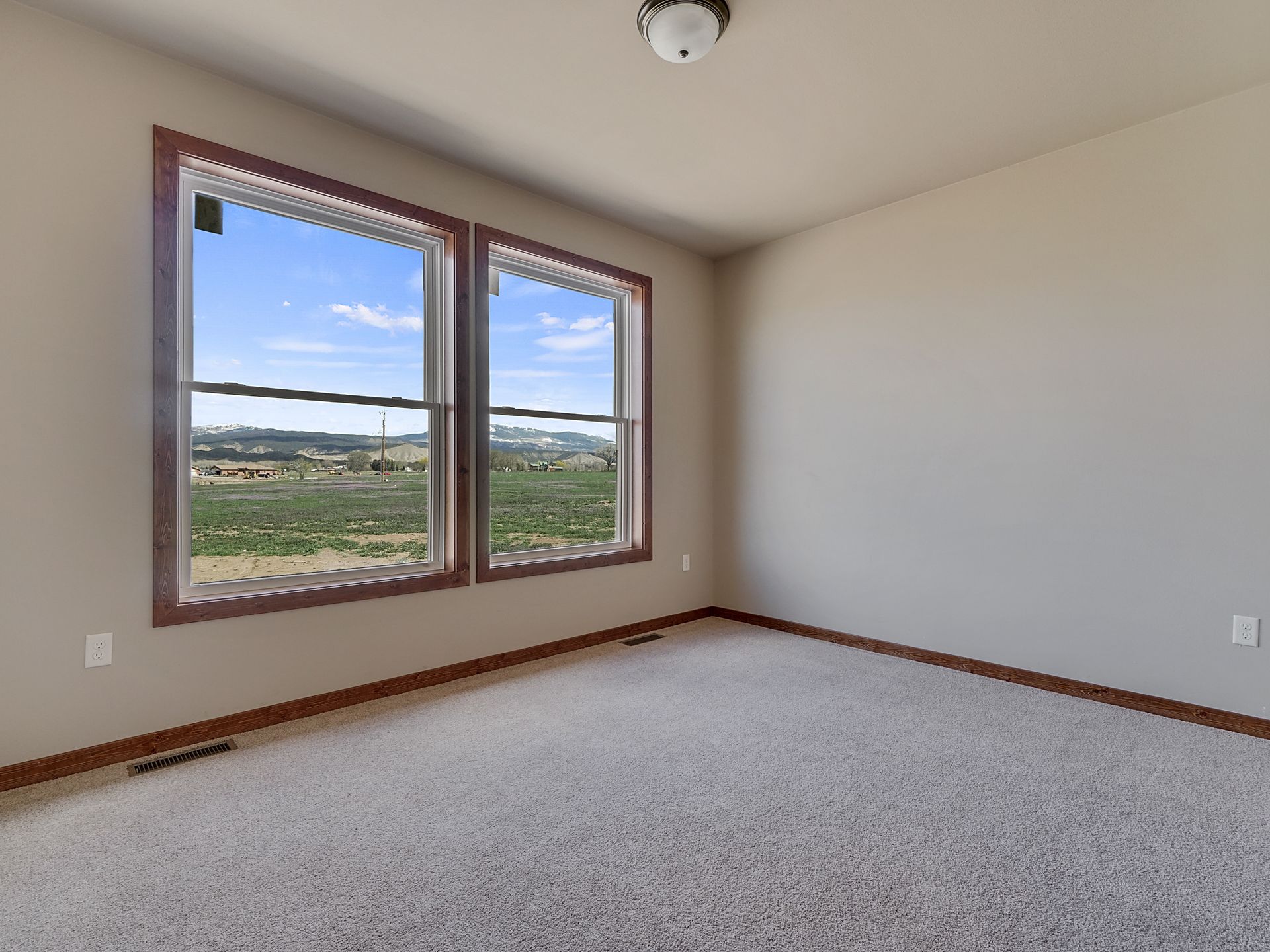 Empty carpeted bedroom with two windows, beige walls, and a ceiling light.