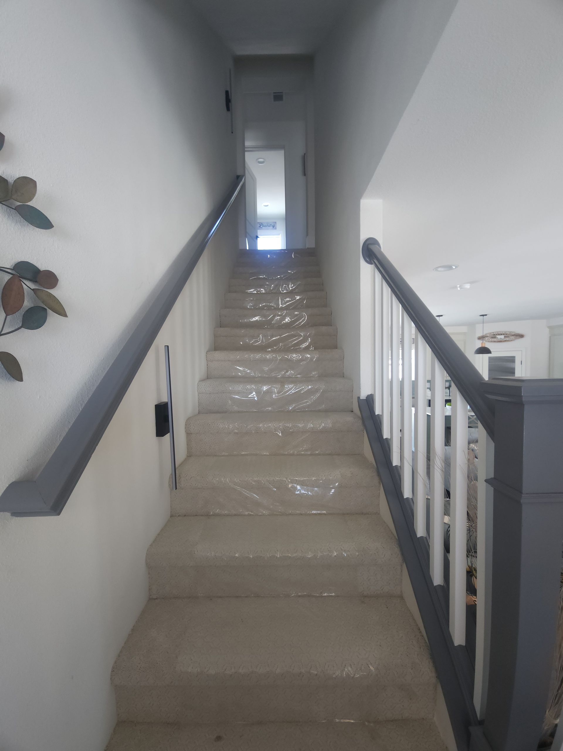 Narrow carpeted stairway with gray handrails leading up to a bright doorway