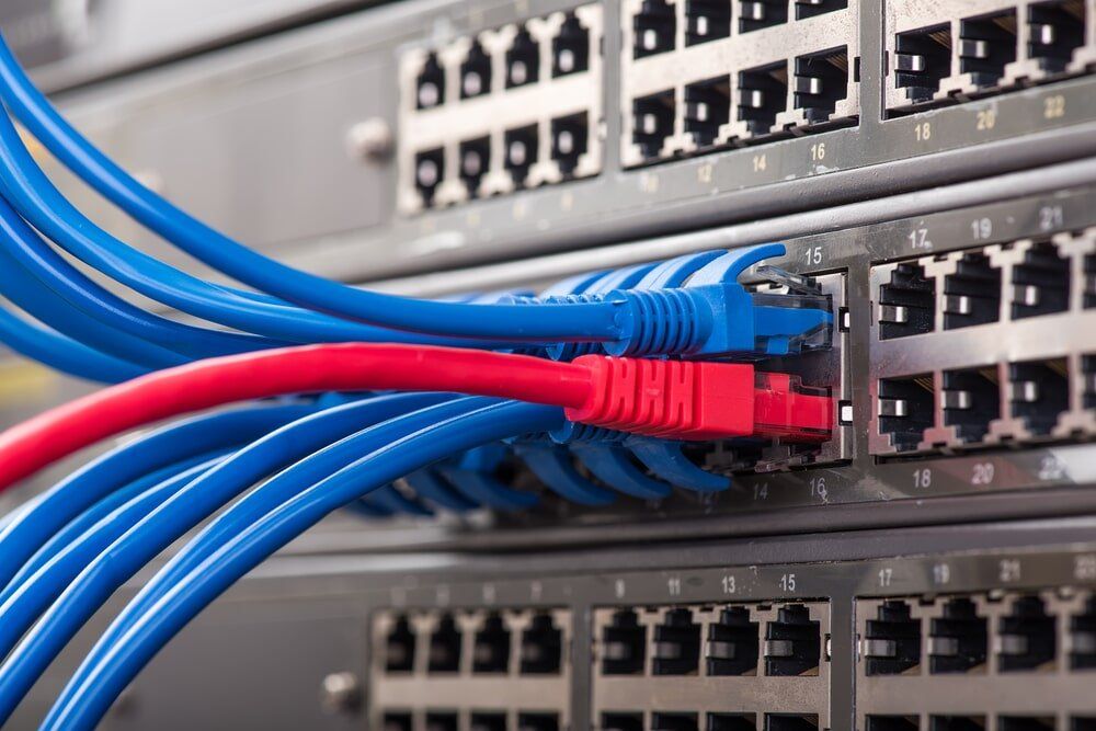 Blue & Red LAN Cables — Electrical Services in Cairns, QLD