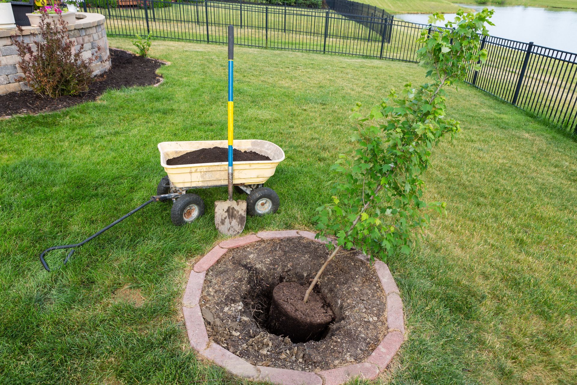 Person in safety vest tending to a newly planted tree with stakes and mulch in a grassy area.