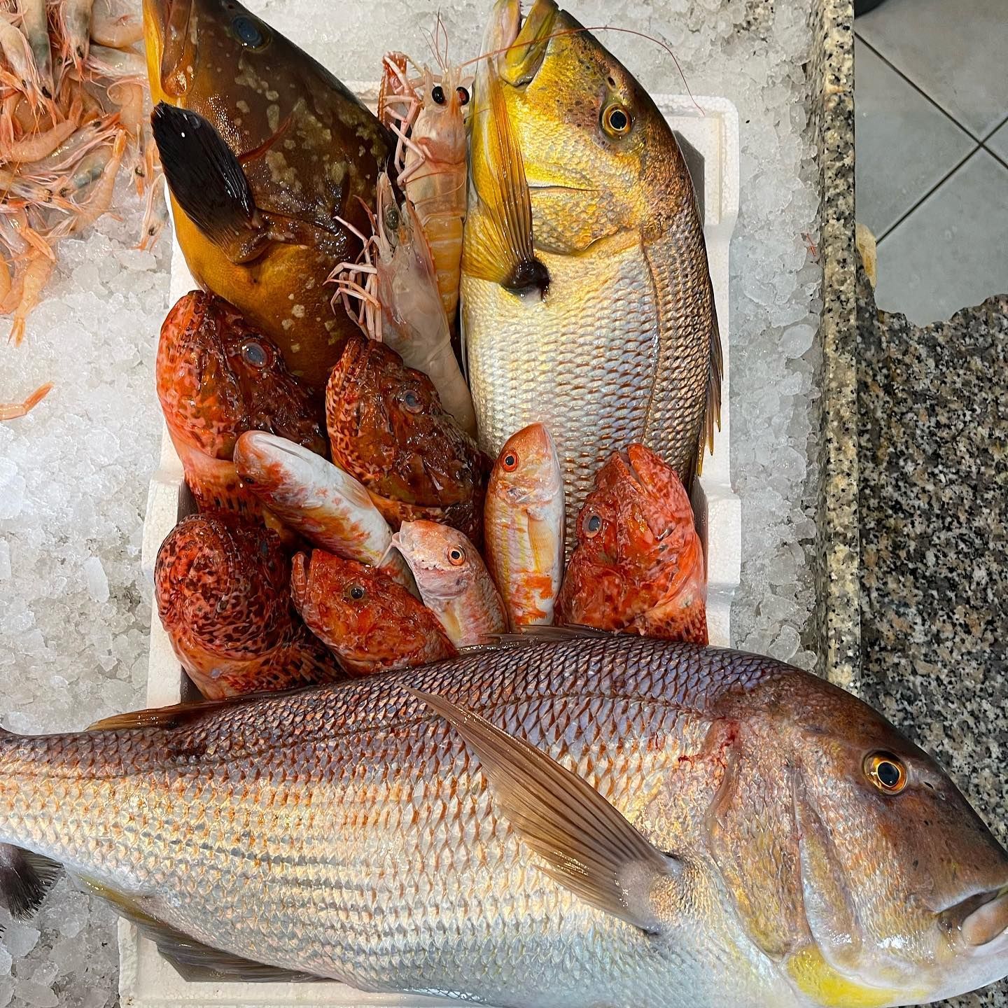 Pesce fresco assortito su ghiaccio in una bancarella del mercato, tra cui un grosso pesce argentato davanti e un pesce rosso dietro.