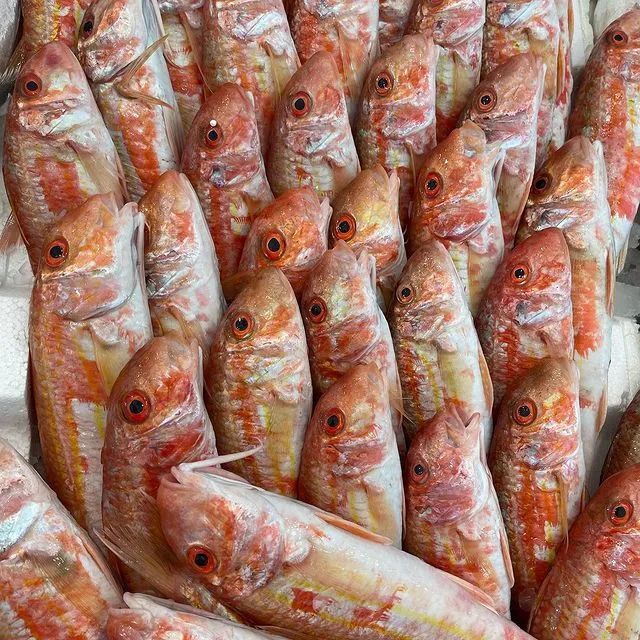 File di pesci rosso-arancio disposti fittamente in esposizione, probabilmente in un mercato o in una pescheria.